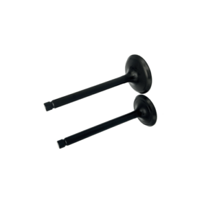 G168F VALVULAS DE ADMISION Y ESCAPE