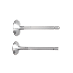 D178-045 D178F VALVULAS AMISION - ESCAPE