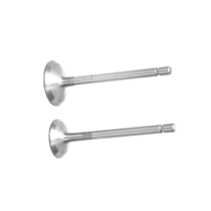 D190FB VALVULAS ADMISION Y ESCAPE