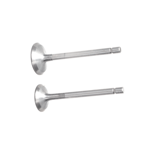 D190FB VALVULAS ADMISION Y ESCAPE