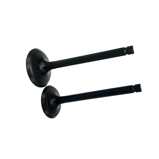 D192FB VALVULAS, ADMISION, ESCAPE