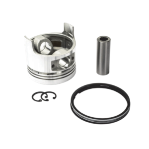 D192FB PISTON KIT 0.50
