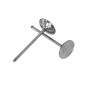 EX17 VALVULAS ADMISION Y ESCAPE