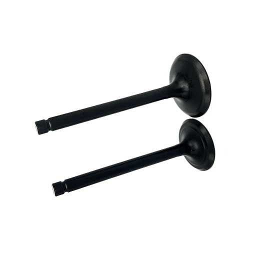 EY20 VALVULAS DE ADMISION Y ESCAPE