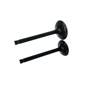 G154 VALVULAS ADMISION Y ESCAPE