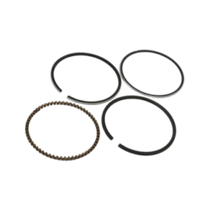 GX120 RINES KIT 0.25