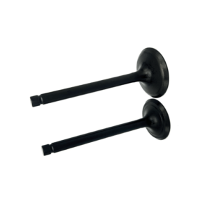 GX270 VALVULAS JUEGO ADMISION Y ESCAPE