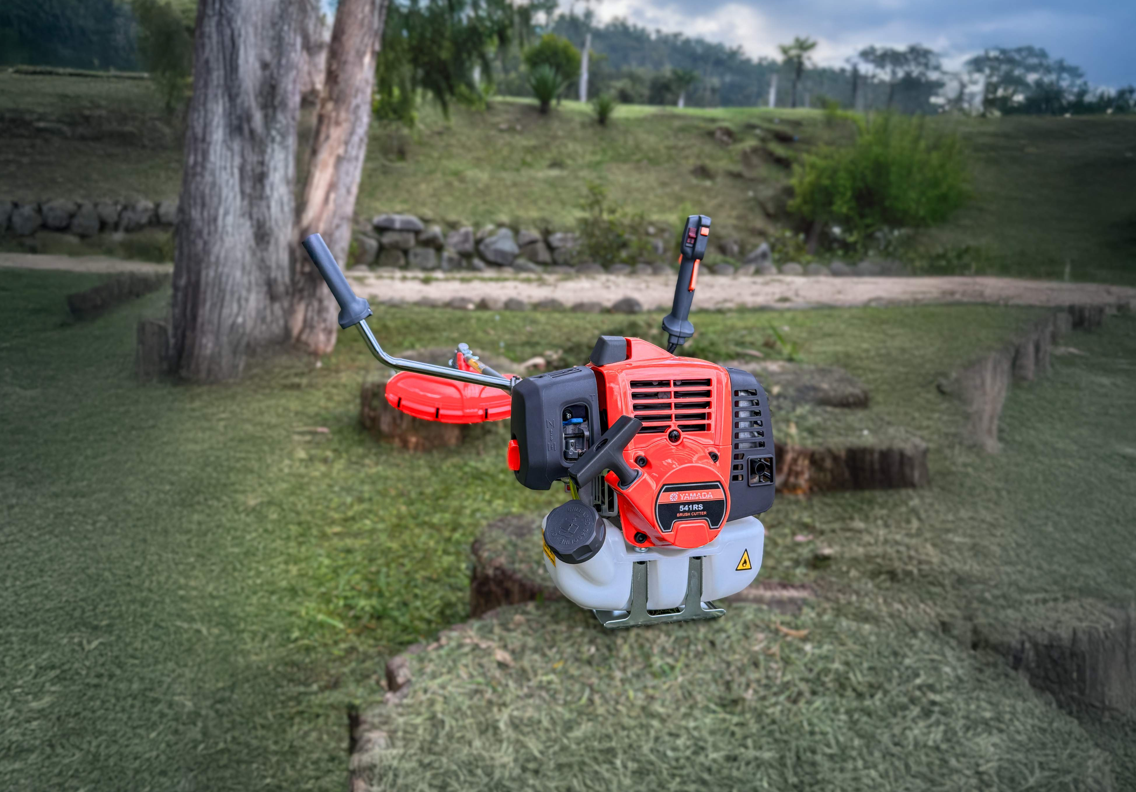 Imagen de la máquina Desbrozadora 541