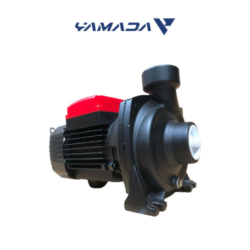 BOMBA DE AGUA 2 HP 4SSD7.5-65-750-110/220V