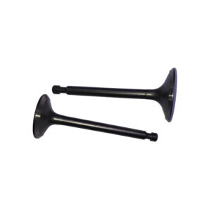 VALVULA ADMISION Y ESCAPE